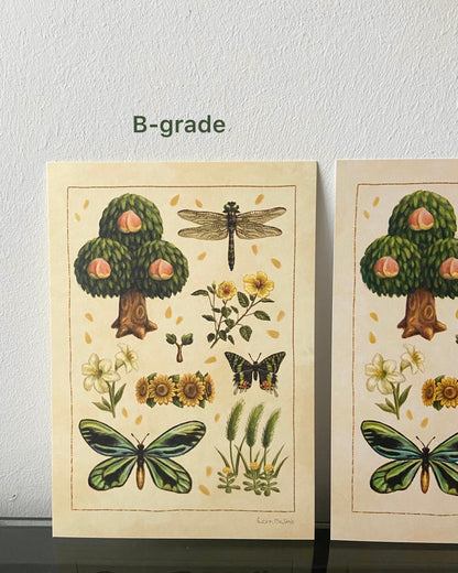 A5 // Summer of New Horizons | illustration, drawing, art print, poster, nature study