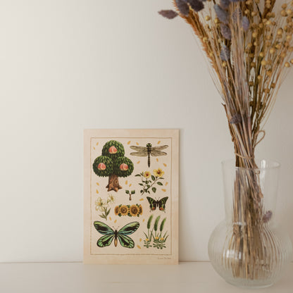 A5 // Summer of New Horizons | illustration, drawing, art print, poster, nature study