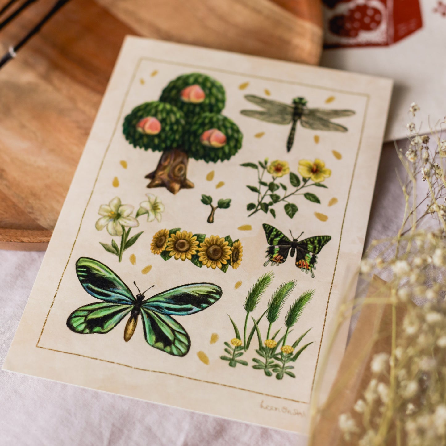 A5 // Summer of New Horizons | illustration, drawing, art print, poster, nature study